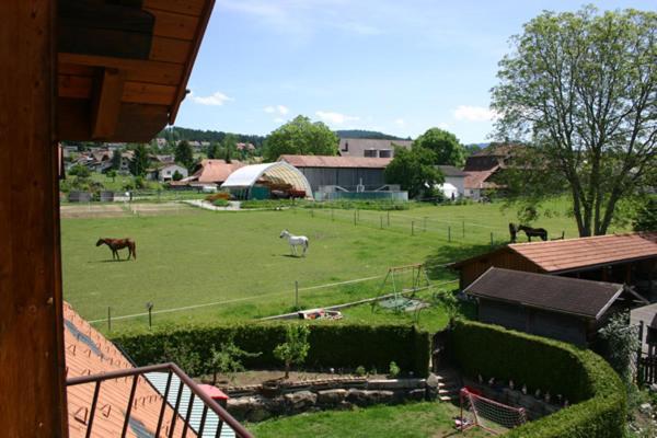 Apartment Simcha Niederwichtrach Zewnętrze zdjęcie